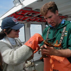 lobster tours in ogunquit maine